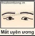 Mắt Uyên Ương Là Gì