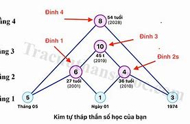 Môi Trường Của Các Nhân Cách Trong Thần Số Học Là Gì Ạ