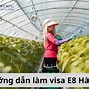 Phí Xin Visa E8 Hàn Quốc