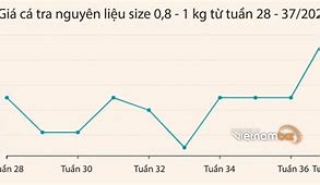 Xuất Khẩu Điều Việt Nam 2022 Đến Nay Bao Nhiêu Ngày Rồi Chưa